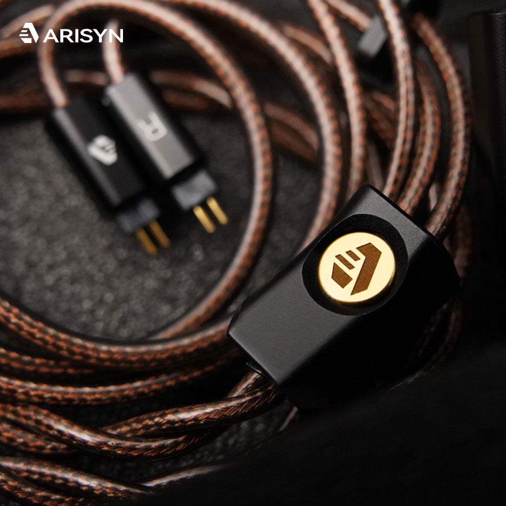 새로운 ARISYN HUO SHU CU 이어폰 10mm - Planar Magnetic Iem Earphones 리뷰 및 가격